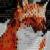 @z3r0fox@mastodon.social