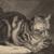 Robert Kingett's avatar